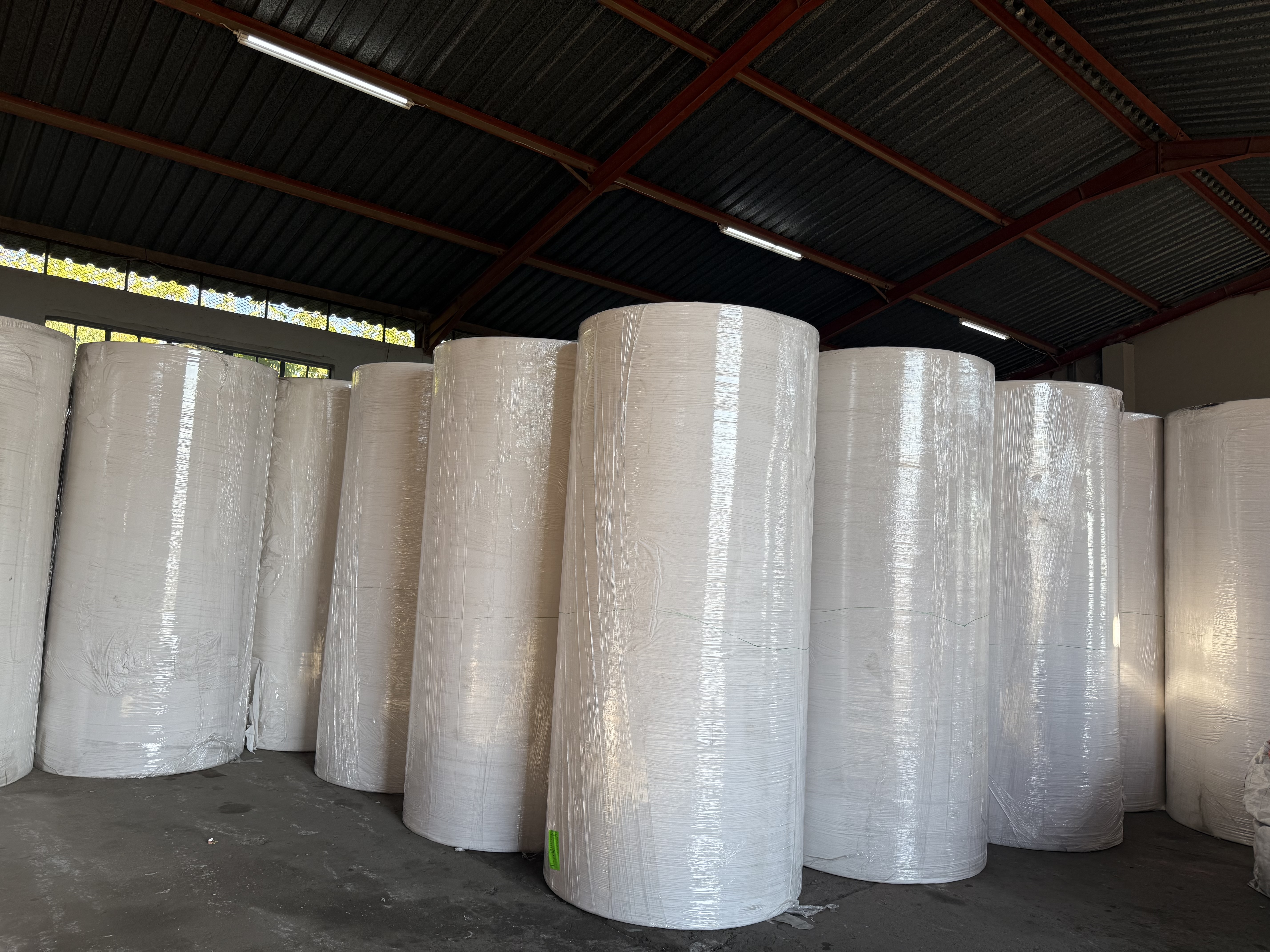 1 Ply Recycled Standard Tissues